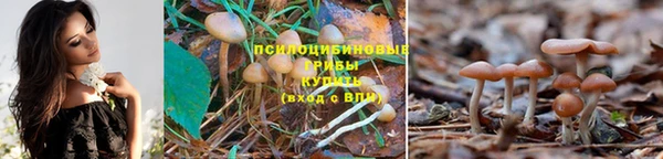 спайс Медногорск